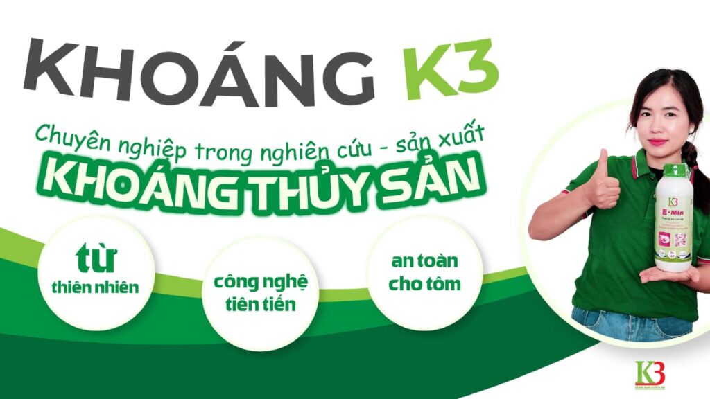 Thiết kế website khoáng k3