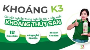 Thiết kế website khoáng k3